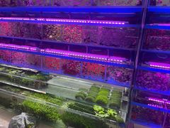 -三旗百汇商品城