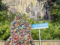 -西双版纳原始森林公园