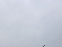-银沙滩浴场