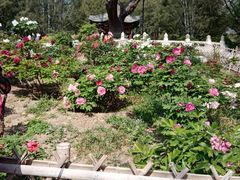 -欢乐牧场海鲜烤肉自助(牡丹园店)