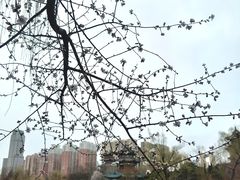 -迎泽公园