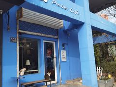 -琥珀川咖啡馆·Amber cafe(百祥路店)