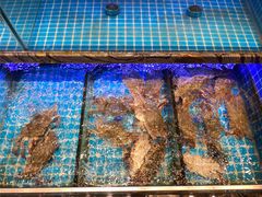 水产区-渔家风味·鲅鱼水饺·央视展播·海鲜天津菜(开发区店)