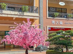 -王府井奥莱临潼小镇(临潼店)