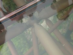 -少华山国家森林公园