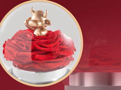 -ROSEONLY诺誓(国际广场购物中心店)