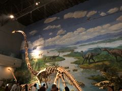 -自贡恐龙博物馆
