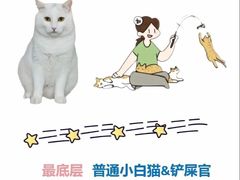 -唐小姐の私宠·宠物洗护美容·撸猫馆·购宠(周浦万达旗舰店)