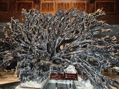 -乐山乌木文化博览苑