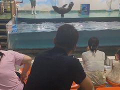 -嘉兴海底世界