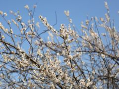 -广州市流溪河国家森林公园