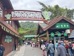 -野象谷景区