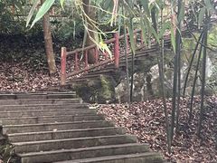 -潜山国家森林公园