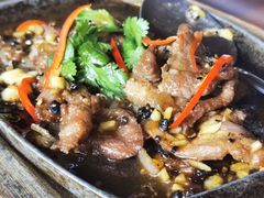 -绿光森林餐厅