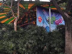 -晓港公园