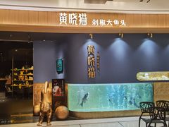 门面-黄晓猫剁椒大鱼头(海岸城店)