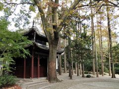 -汇龙潭
