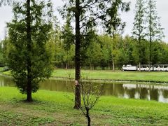 -黄海国家森林公园