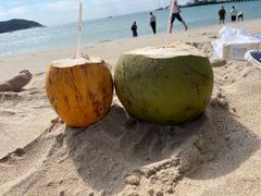 -亚龙湾海底世界