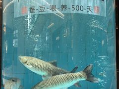 -谭厨中山传家菜.乳鸽.脆鲩鱼(华强北中航城店)