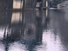 -鄱阳湖国家湿地公园