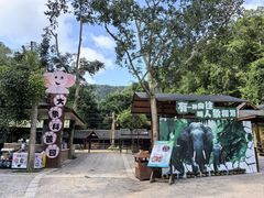 -野象谷景区
