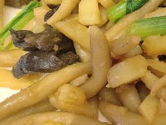 -凯鸽酒楼(大同振兴街店)