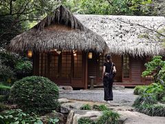 -中国茶叶博物馆(双峰馆区)