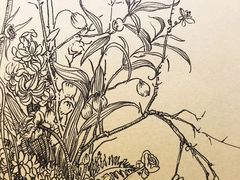 -荷兰布尔玛国际花艺学院