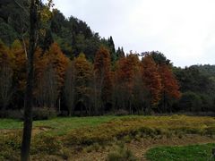 -贵阳市花溪国家城市湿地公园