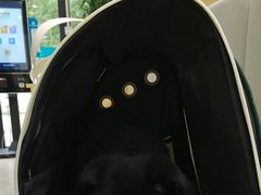 -美联众合动物医院·24h转诊中心