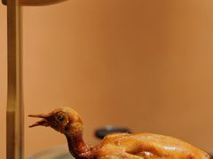 玻璃脆皮乳鸽-羽鸽集·乳鸽专门店·地道顺德菜(岭南站店)