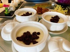 牛初乳-光明招待所(邦凯科技园店)