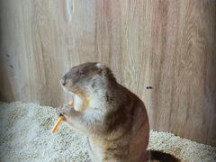 -后院犇牛主题餐厅(云岗店)