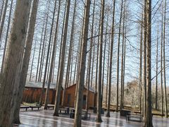 -黄海国家森林公园