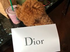 -Dior(海信广场店)