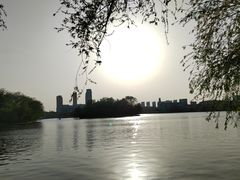 -莱西月湖公园