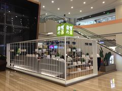 -奈雪的茶(市百一店)