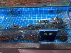 -鸽子侯·家宴·平价海鲜(市图书馆店)