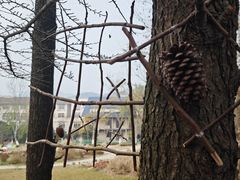 -浙江农林大学(东湖校区)