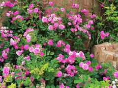 -青岛邮电博物馆