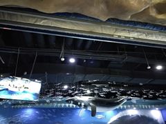 -梦幻海洋王国(吾悦广场张家港店)