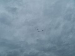 -贵阳市花溪国家城市湿地公园