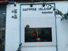 门面-喵屿·大理花园猫咖