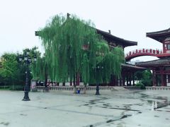 -西安青龙寺遗址景区