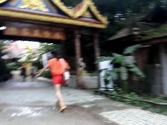 -傣家寨花园主题餐厅