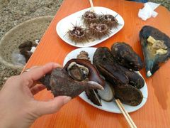 -石槽海滨浴场