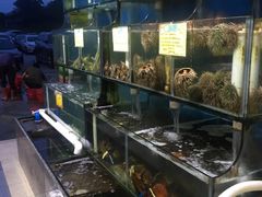 -蚝专家(北滘店)