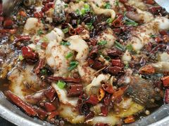 -小唐小四川水煮鱼(北三路店)