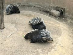 -济南野生动物世界